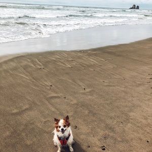 Meet your Posher, Jami